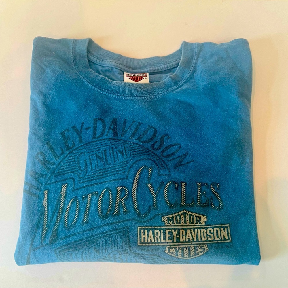 Harley Davidson Men’s Tee 2XL